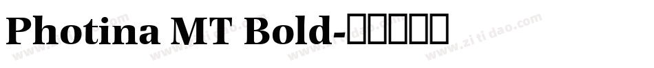 Photina MT Bold字体转换